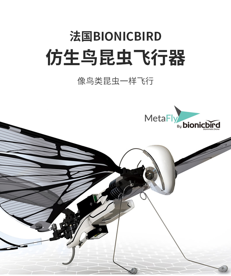 法国bionicbird仿生鸟昆虫飞行器